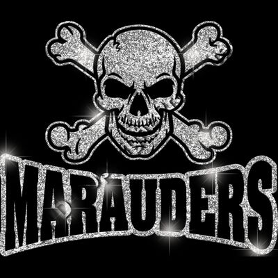 MGLT32 SILVER GLITTER Thumbnail