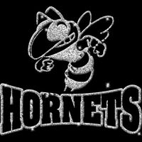 HGLT32 SILVER GLITTER Thumbnail