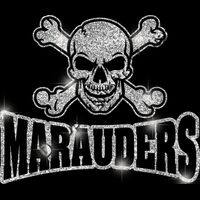 MGLT32 SILVER GLITTER Thumbnail