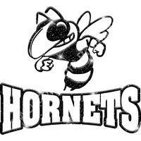 HGLT32 BLACK GLITTER Thumbnail